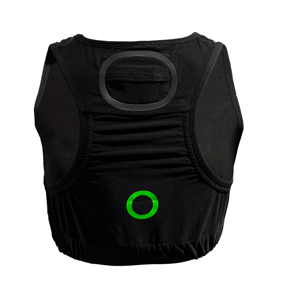 dss-accessible software-johan